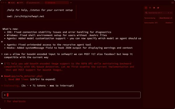 The image displays a terminal interface showing updates and code related to the NSFW API project.