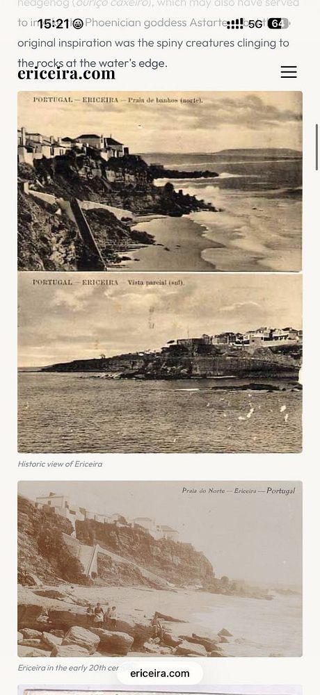 Historic view of Ericeira village showing traditional white and blue buildings on a hillside near the sea.