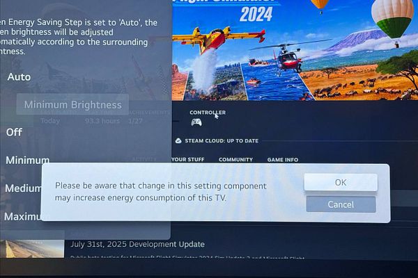 The image displays a TV settings menu focused on brightness adjustments, highlighting the Eco mode feature.