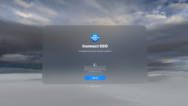 Screenshot of Connect SSO