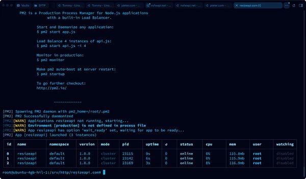 The image displays a terminal interface showing the output of the PM2 process manager for a Node.js application named 'resizeapi'.