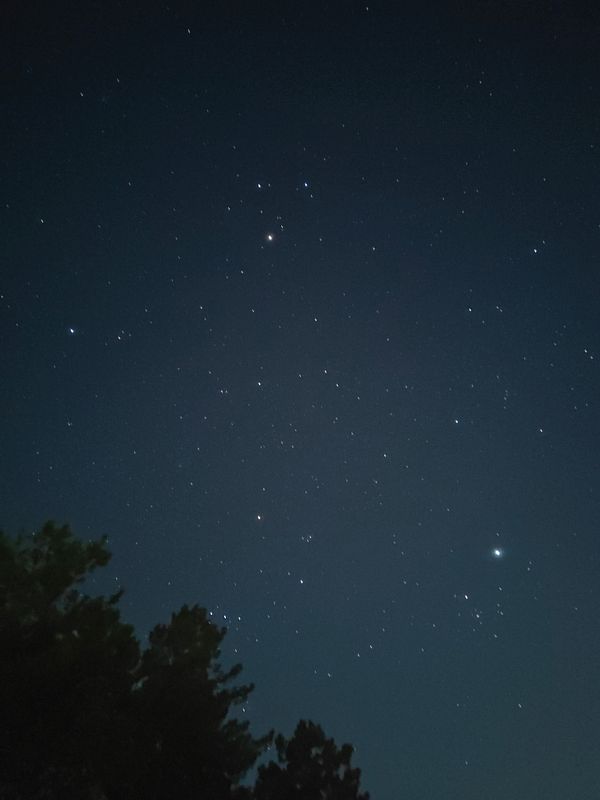 A starry night sky with visible constellations and silhouettes of trees in the foreground.
