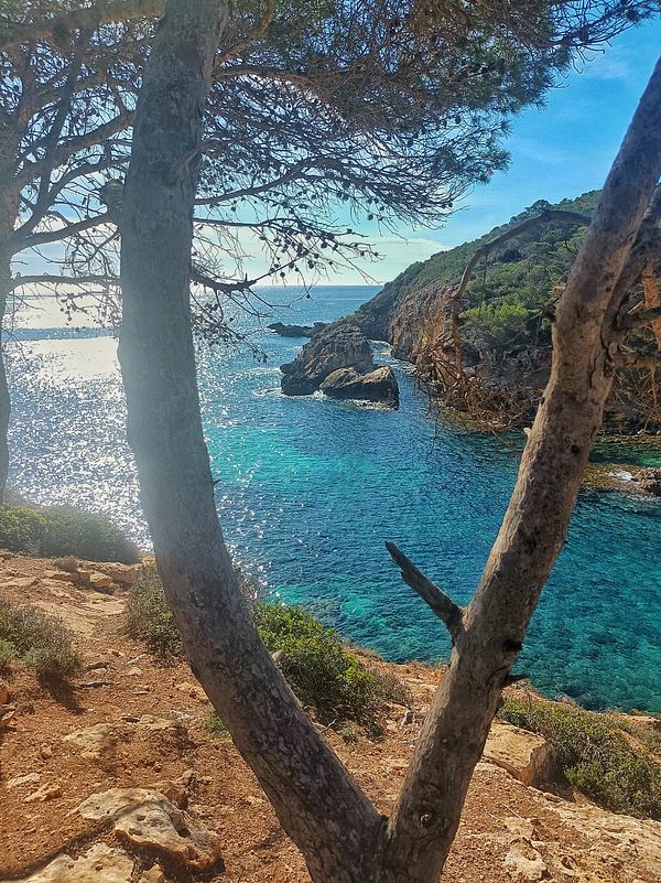 A scenic coastal view framed by a tree, showcasing clear blue waters and rocky formations.