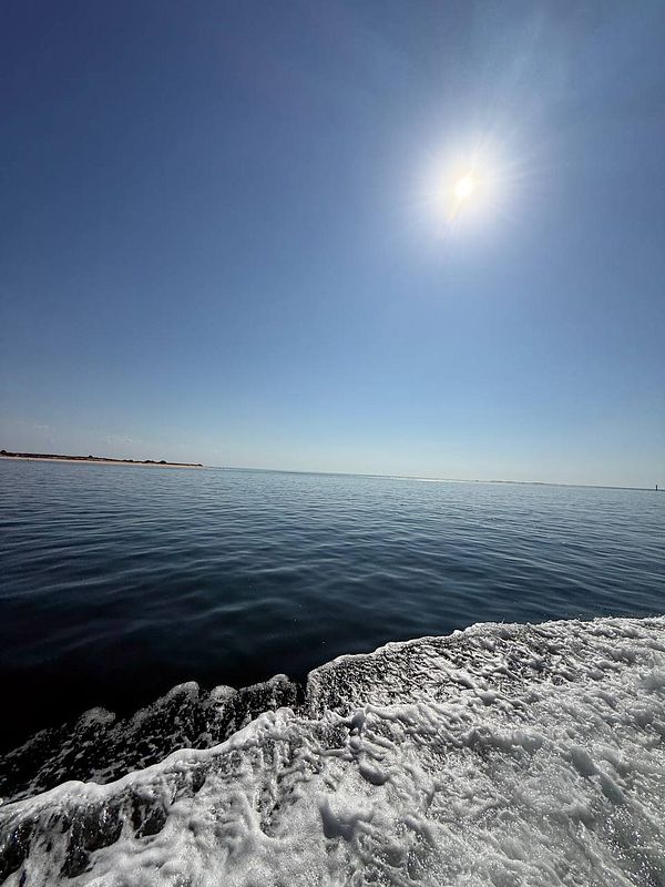 A serene view of the ocean under a clear blue sky with the sun shining brightly.
