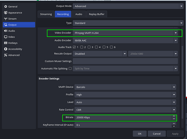 The image displays the output settings of OBS Studio for video recording.