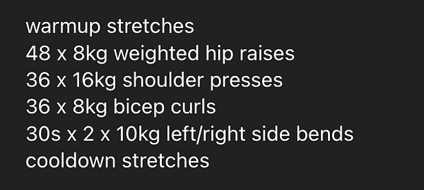 A workout plan for a home gym session is displayed on a dark background.