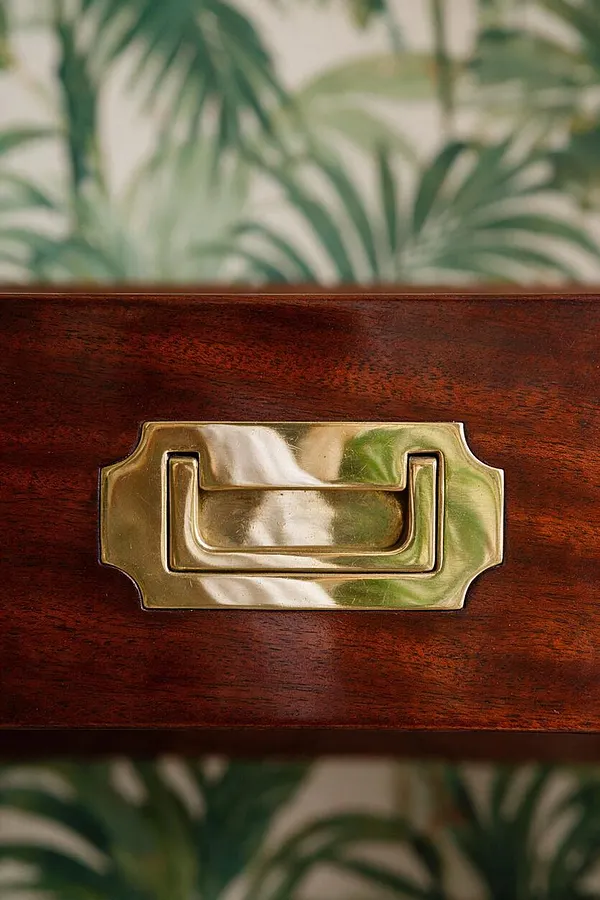 A close-up of a polished brass drawer pull mounted on a richly stained dark wood cabinet front. Softly blurred tropical palm leaves in the background add a lush, decorative backdrop.