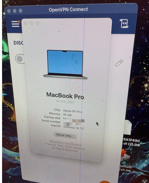 The image displays system information for a MacBook Pro running macOS Sonoma.