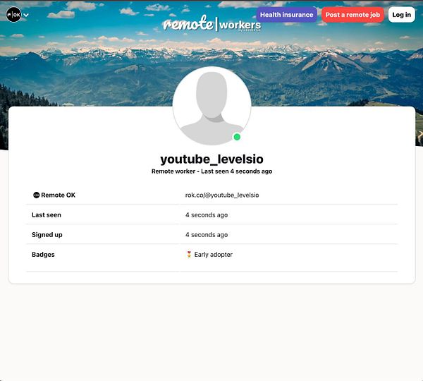 A user profile interface from a remote work platform displaying user information and activity status.