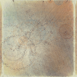 Reticulum by Harvey Rayner #552