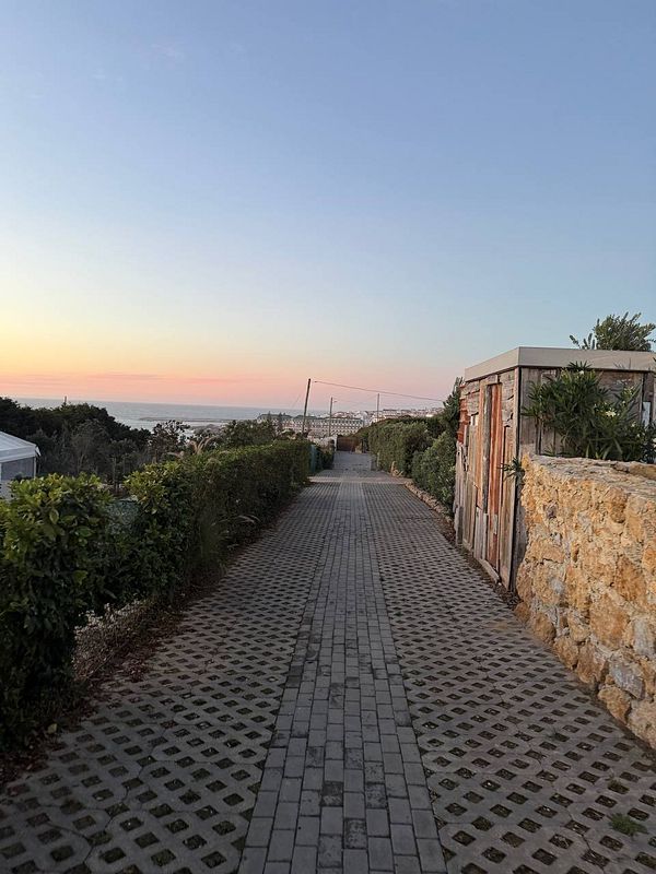 A scenic pathway leads towards the ocean at sunset, framed by greenery and rustic structures.