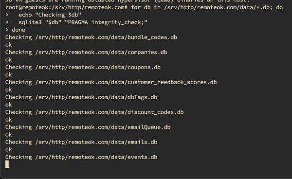 The image displays a terminal interface showing the results of an integrity check on various database files.
