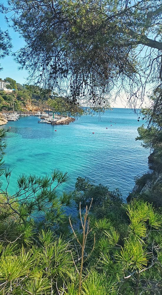 A serene coastal view featuring clear turquoise waters and lush greenery.