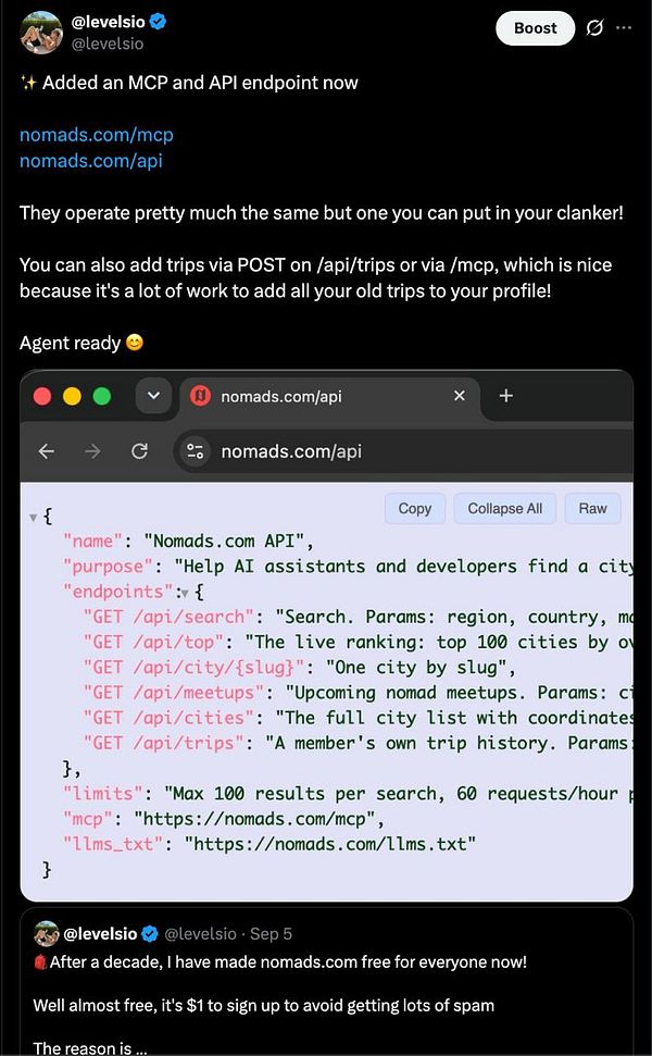 Screenshot of a terminal window showing a successful execution of commands related to launching MCP and an API endpoint.