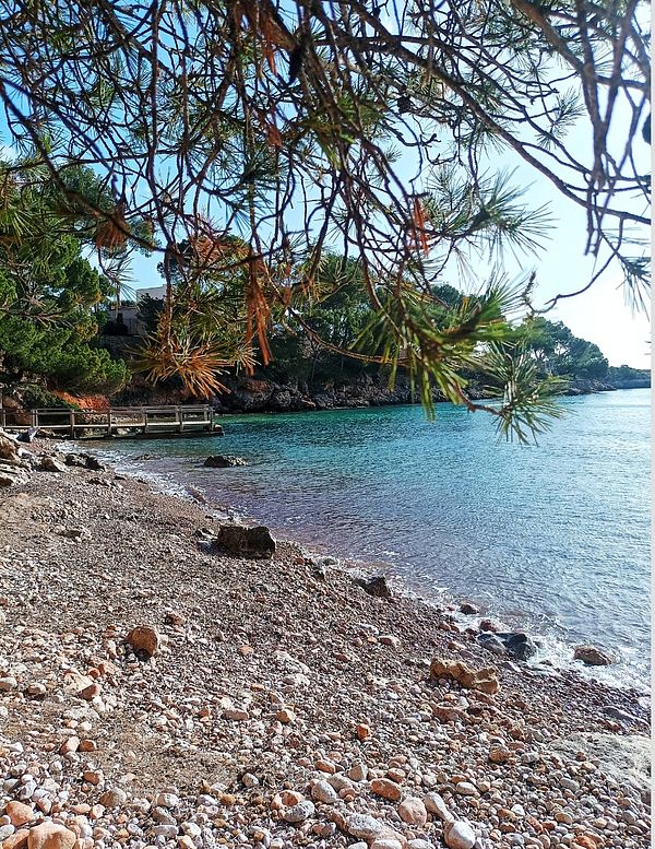 A serene coastal scene featuring a rocky beach and clear blue water.