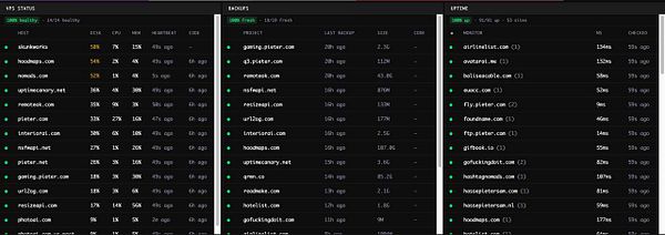 Dashboard displaying VPS status with uptime, service status, and backup coverage metrics.