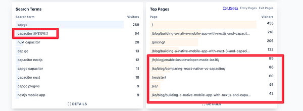 The image displays analytics data for search terms and top pages related to a project.