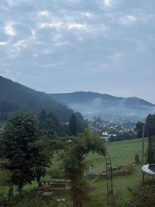 A serene early morning landscape featuring rolling hills and misty valleys.