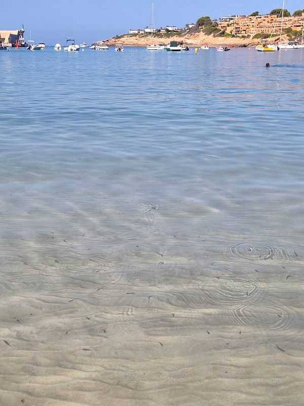 A man and two young girls on a sandy beach with clear water and overcast sky.