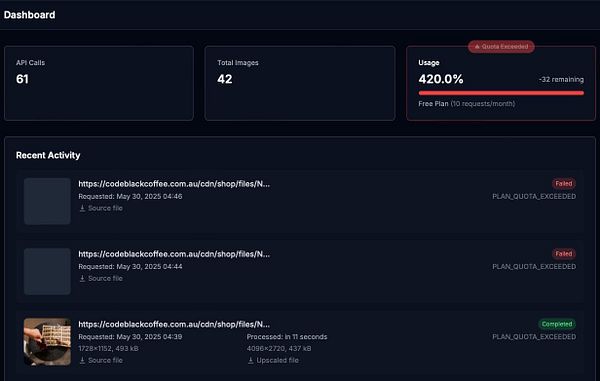 The image displays a dashboard showing API usage statistics and recent activity logs.
