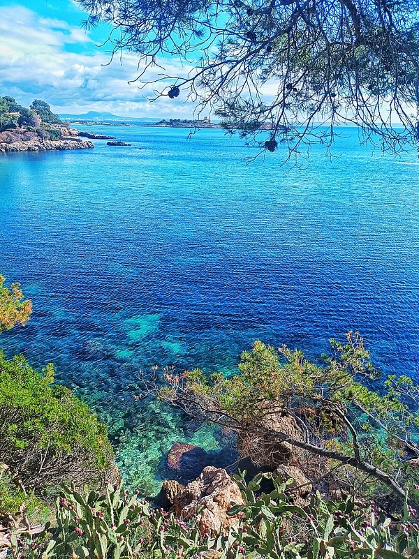 A scenic view of a vibrant blue sea surrounded by rocky shores and greenery.