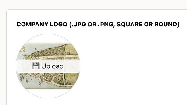 The image displays an upload interface for a company logo with specific file format instructions.