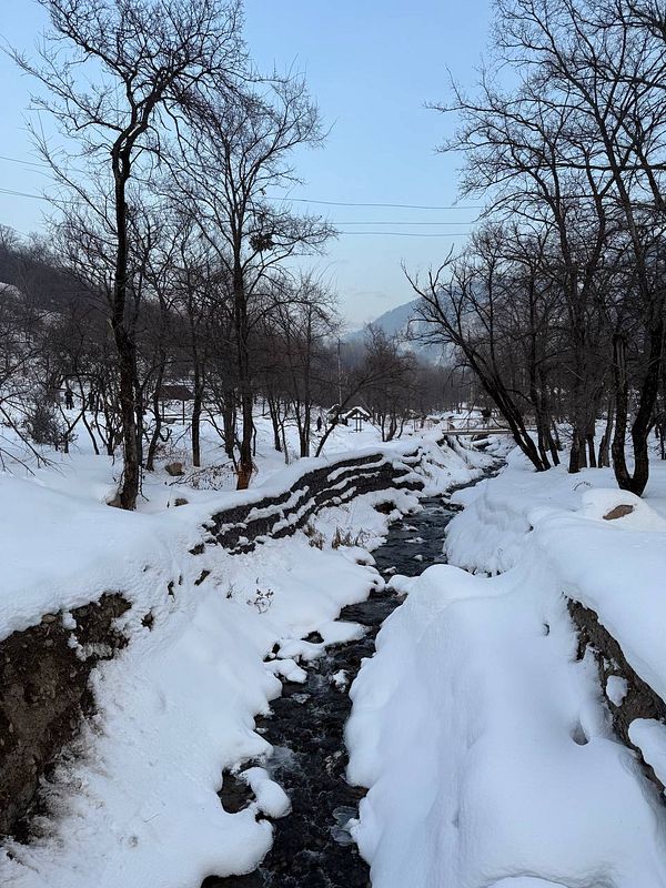 A serene winter landscape featuring a snow-covered stream surrounded by bare trees.
