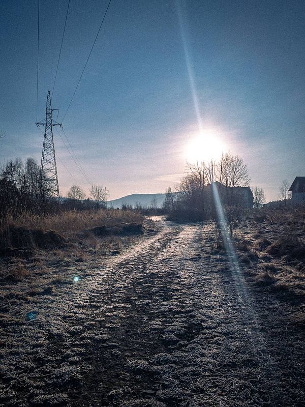 A serene winter landscape featuring a frosty path under a clear blue sky.