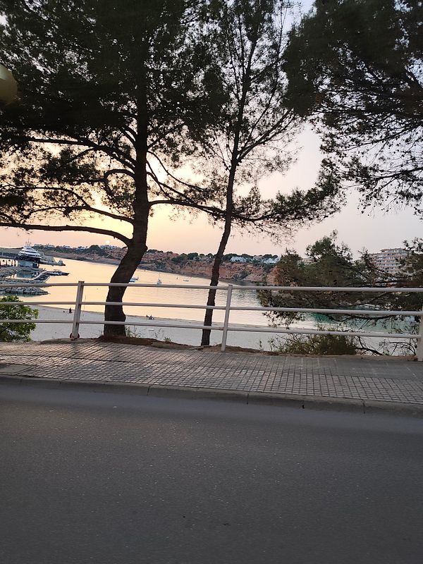 A vibrant sunset over a calm lake with silhouetted trees reflecting on the water.