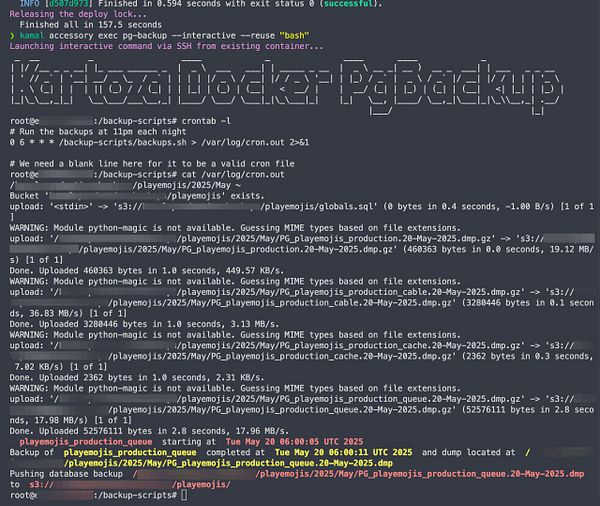 The image displays a terminal interface showing the output of a database backup process using the pg-backup tool.
