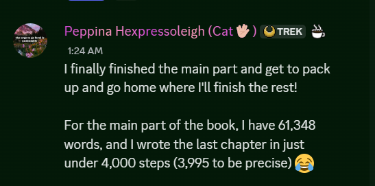 A user shares their progress on a book project in a chat interface.