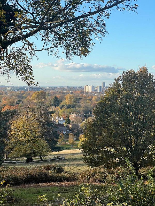 A scenic view of a park with trees, a grassy area, and a distant city skyline.