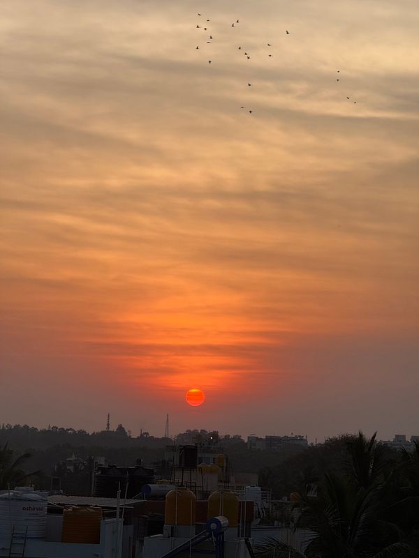 A vibrant sunset is captured over a city skyline, with silhouettes of buildings and palm trees in the foreground.