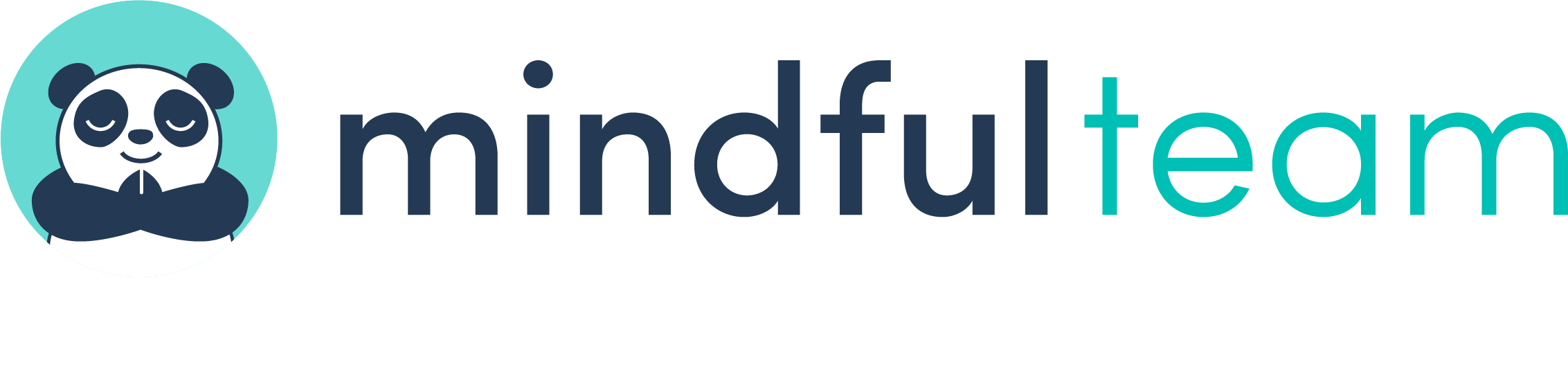 Mindful Team