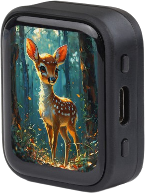 Touch AMOLED 1.8