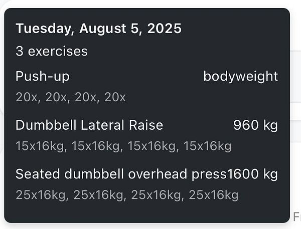 A workout plan for a home gym session dated August 5, 2025, detailing three exercises.