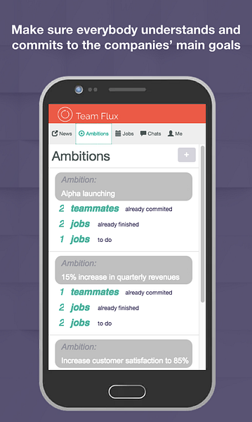 Team Flux