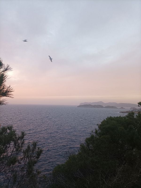 A serene coastal view at sunset with seagulls flying over the water.