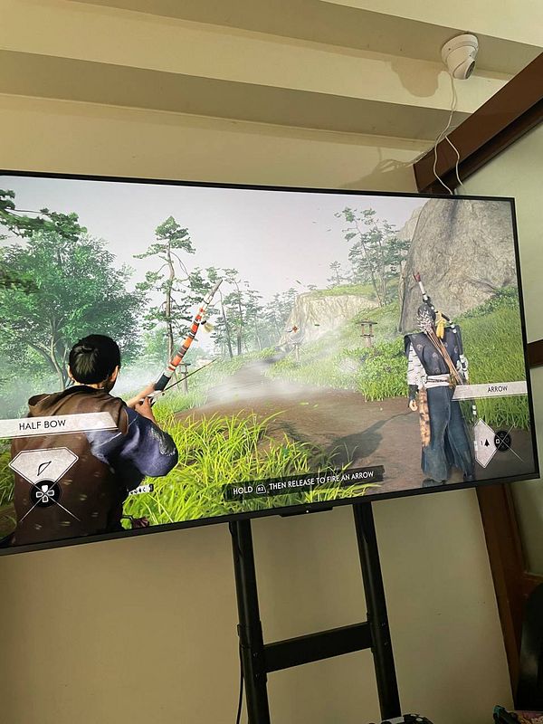 Video game screenshot showing an in-game upgrade menu for acquiring arrow skills.