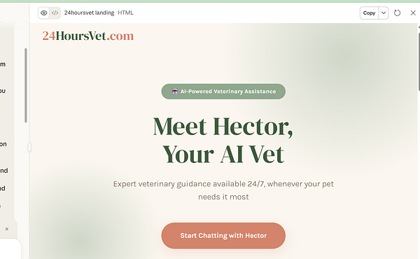 Landing page design for 24HoursVet showcasing pet care services with motivational headlines and call-to-action buttons.