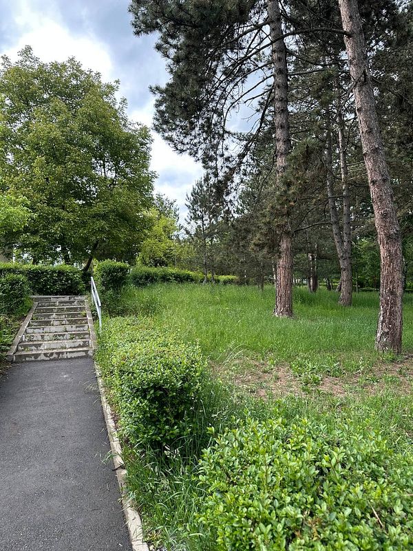 A serene park scene featuring a pathway leading to grassy areas and trees.