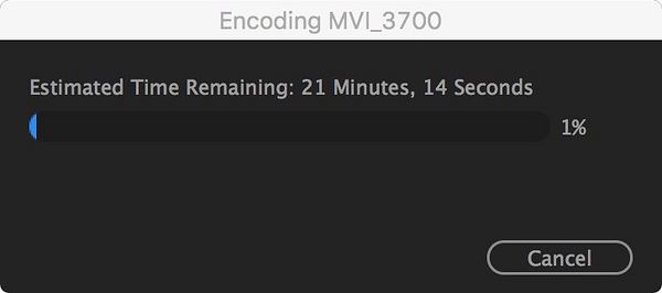 A video encoding progress window displaying the status of a video file.
