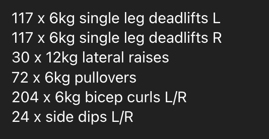 A workout plan detailing various exercises with specific weights and repetitions.