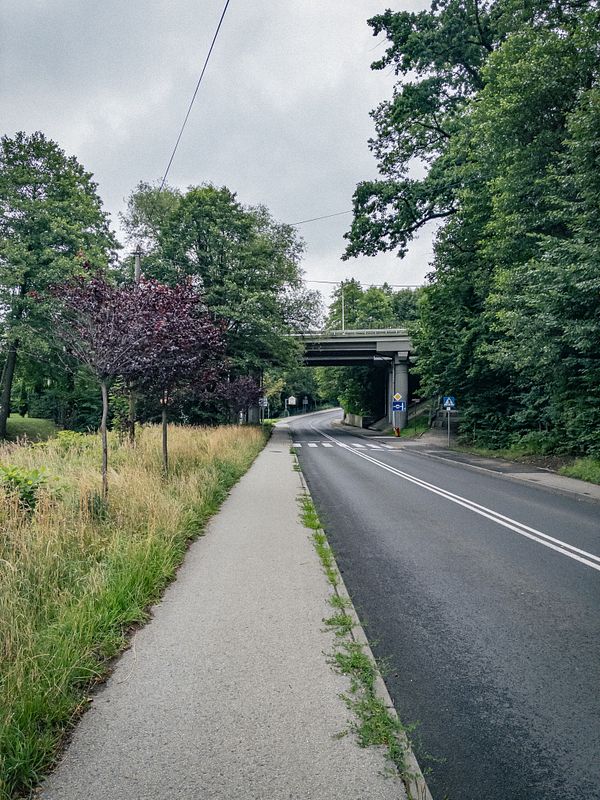 Early morning scene with lush greenery, a sunrise, and a person walking along a path.