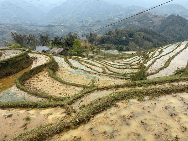 A scenic view of terraced rice fields in a mountainous region.