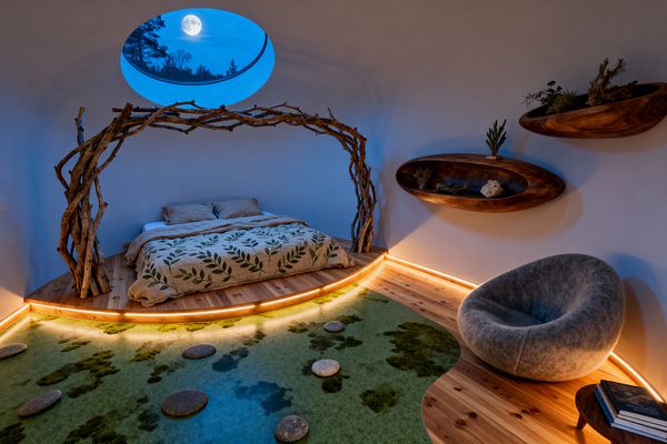 A kids' bedroom designed with nature-inspired elements shows a low bed on a curved pine platform beneath a canopy of intertwined branches and a leaf-print duvet. An oval skylight reveals the moon, warm LED strips trace the baseboards, and a resin floor section holds preserved moss with round stepping stones; organic walnut wall shelves display small plants, while a rounded gray wool-felt chair sits beside a small table with books.