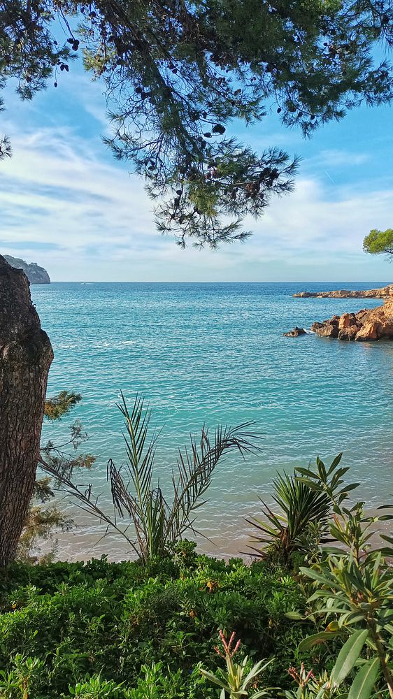 A serene coastal view featuring clear blue waters and lush greenery.