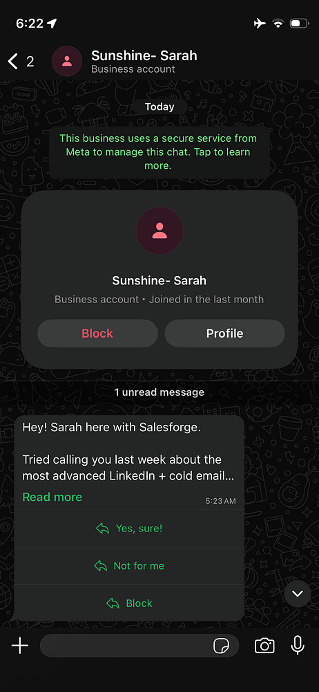 WhatsApp chat screen on a mobile device showing a series of received spam messages in Spanish.
