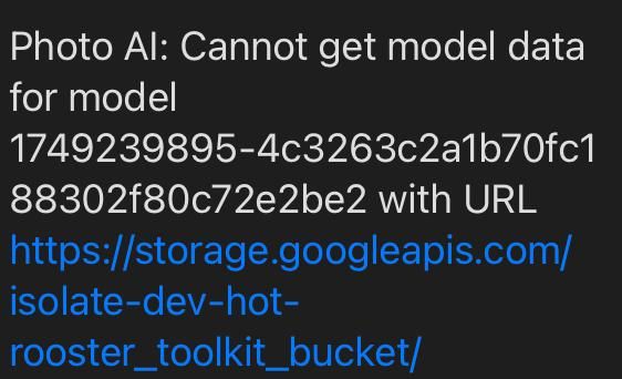 A screenshot displaying an error message related to a model data retrieval issue in a photo AI application.