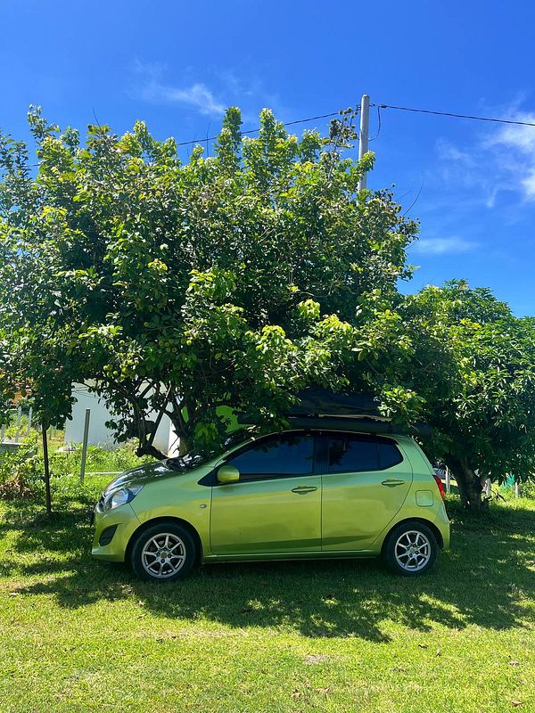 A small green car is parked under a lush tree on a sunny day.